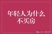 为何不买房？高房价压力下的在线赚美元方法