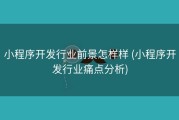 小程序开发行业前景怎样样 (小程序开发行业痛点分析)