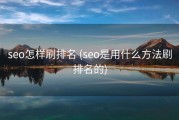 seo怎样刷排名 (seo是用什么方法刷排名的)