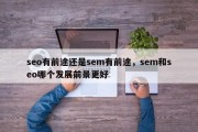 seo有前途还是sem有前途，sem和seo哪个发展前景更好