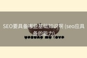 SEO要具备哪些基础知识啊 (seo应具备的能力)
