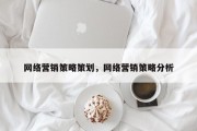 网络营销策略策划，网络营销策略分析