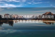 请问现在学SEO还有前途吗 (请问现在学商务英语有前途吗)
