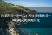 数据库是一种什么的系统 (数据库是一种结构化的数据集合)