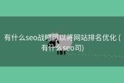 有什么seo战略可以将网站排名优化 (有什么seo司)