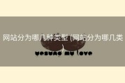网站分为哪几种类型 (网站分为哪几类)