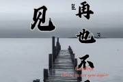 再也不怕没素材啦 熬夜整顿的40个国际外视频素材网站 (再也不怕没素质的句子)