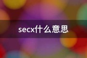 SEC是什么 SEO SEM 不要复制的答案 (sec是什么单位的缩写)