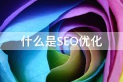 什么是SEO SEO怎样操作 (什么是SEO策略)