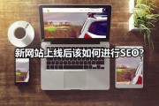 做SEO的新手要求学习哪些常识 (做seo技术)
