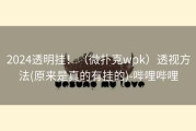 2024透明挂！（微扑克wpk）透视方法(原来是真的有挂的)-哔哩哔哩