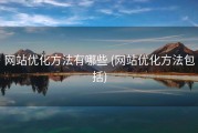 网站优化方法有哪些 (网站优化方法包括)
