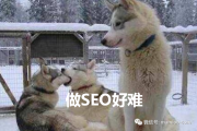 网站坚持原创配图体验却没蜘蛛排名流量？多因服务器问题