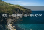 夜息seo视频教程：技术驱动的SEO