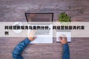网络营销服务及案例分析，网络营销服务的案例