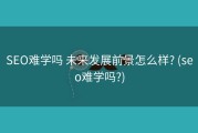 SEO难学吗 未来发展前景怎么样? (seo难学吗?)