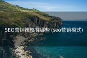 SEO营销策略有哪些 (seo营销模式)