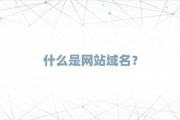 网站域名指向了百度搜查链接