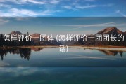 怎样评价一团体 (怎样评价一团团长的话)