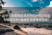 这样在百度搜查进去带图片的SEO怎样做进去的 (我想在百度里面搜索)