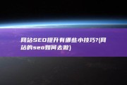 网站SEO提升有哪些小技巧? (网站的seo如何去做)