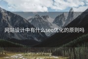 网站设计中有什么seo优化的原则吗