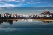 域名治理权限是什么 (域名治理权限怎么开通)