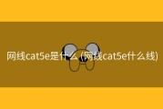 网线cat5e是什么 (网线cat5e什么线)