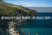 黑领结PPT怎样设置呢 (黑领结红酒杯)