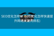 SEO优化怎样样 (SEO优化怎样快速提升网站关键词排名)