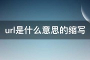 URL是什么意思 (url是什么格式文件)