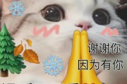 说细点谢谢！ SEO外面提到的url是什么意思啊 (细语的谢谢怎么说)