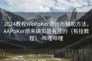 2024教程WePoKer德州局辅助方法，AAPoKer原来确实是有挂的（有挂教程）-哔哩哔哩