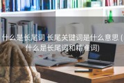 什么是长尾词 长尾关键词是什么意思 (什么是长尾词和精准词)