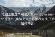 电脑上要这个用途大么 windowssearch是什么 (电脑上这个月报表完成,下月如何再做)