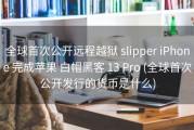 全球首次公开远程越狱 slipper iPhone 完成苹果 白帽黑客 13 Pro (全球首次公开发行的货币是什么)