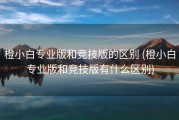 橙小白专业版和竞技版的区别 (橙小白专业版和竞技版有什么区别)