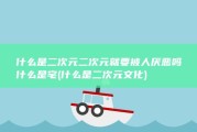 什么是二次元 二次元就要被人厌恶吗 什么是宅 (什么是二次元文化)