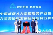 成都兴联人力资源治理有限公司怎样样 (成都兴联人力资源管理有限公司)