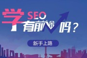 以后SEO黑帽重要有哪些技术 (seo还有出路吗)