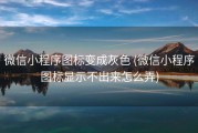 微信小程序图标变成灰色 (微信小程序图标显示不出来怎么弄)