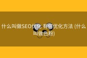 什么叫做SEO优化 有何优化方法 (什么叫做色粉)