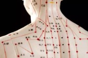 怎么比拟两个PDF文档的差异 (怎么比拟两个人的关系)