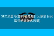SEO流量 权重 排名是指什么意思 (seo取得的是什么流量)
