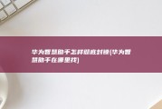 华为智慧助手怎样彻底封锁 (华为智慧助手在哪里找)