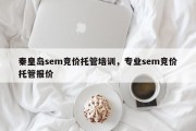 秦皇岛sem竞价托管培训，专业sem竞价托管报价