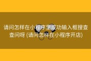 请问怎样在小程序里成功输入框搜查查问呀 (请问怎样在小程序开店)