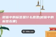 微信中的标签是什么意思 (微信中的标签在哪)