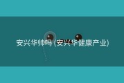 安兴华帅吗 (安兴华健康产业)