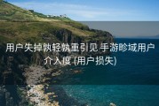 用户失掉孰轻孰重引见 手游畛域用户介入度 (用户损失)